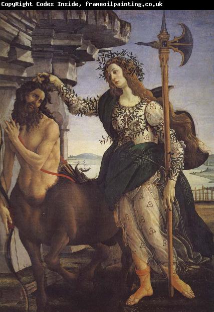 Sandro Botticelli pallade e il centauro